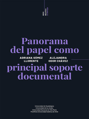 cover image of Panorama del papel como principal soporte documental